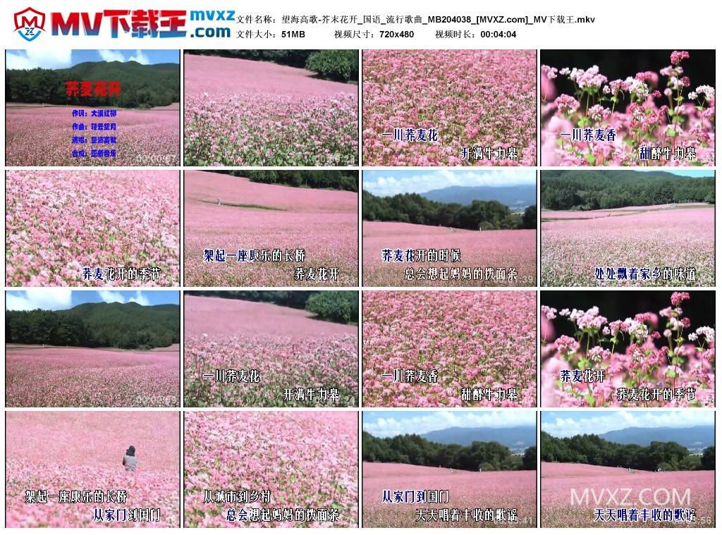 望海高歌-芥末花开_国语_流行歌曲_MB204038